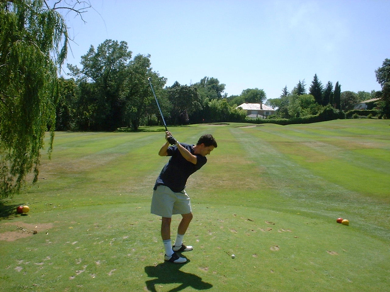 German Backswing